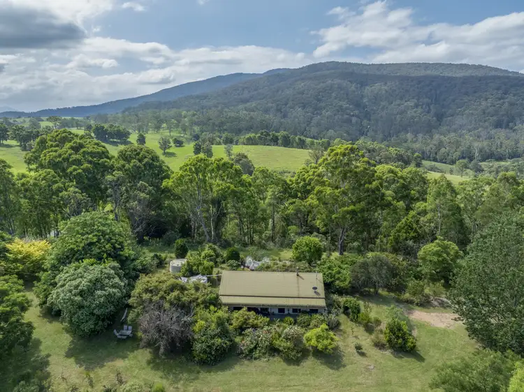 Main view of Homely rural property listing, 127 McGregors Road, Bega NSW 2550