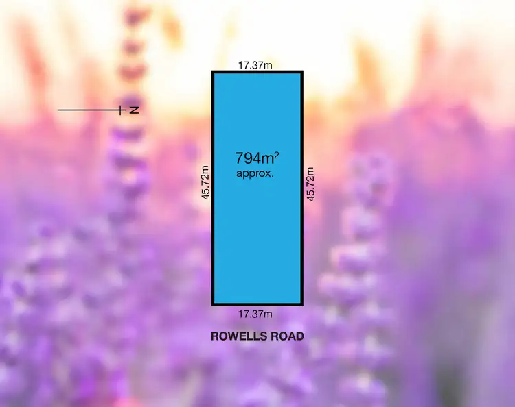Second view of Homely house listing, 21 Rowells Road, Lockleys SA 5032