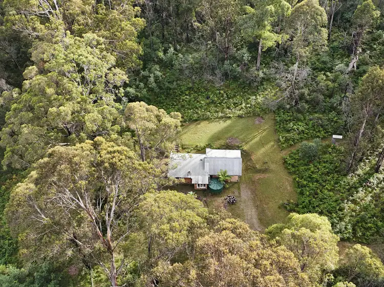 Fifth view of Homely rural property listing, 492 Yankees Gap Road, Bemboka NSW 2550