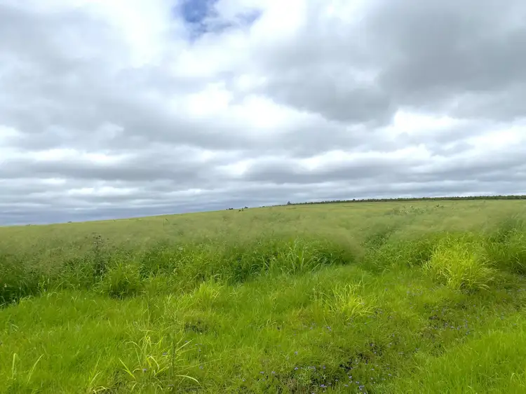 Main view of Homely rural property listing, Lot 224 Schellbachs Road, Kingaroy QLD 4610