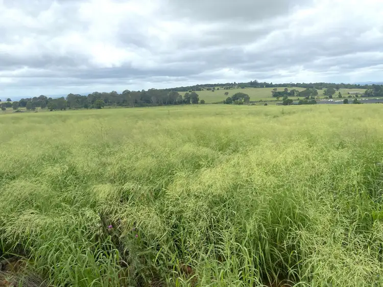 Second view of Homely rural property listing, Lot 224 Schellbachs Road, Kingaroy QLD 4610