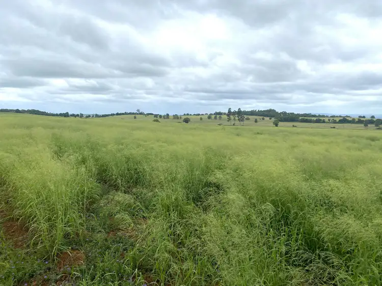 Fourth view of Homely rural property listing, Lot 224 Schellbachs Road, Kingaroy QLD 4610