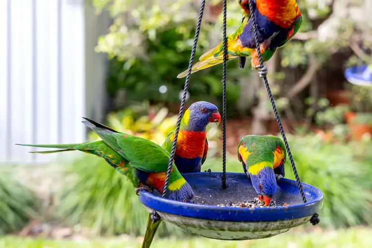 Second view of Homely house listing, 4 Bradworthy Street, Alexandra Hills QLD 4161