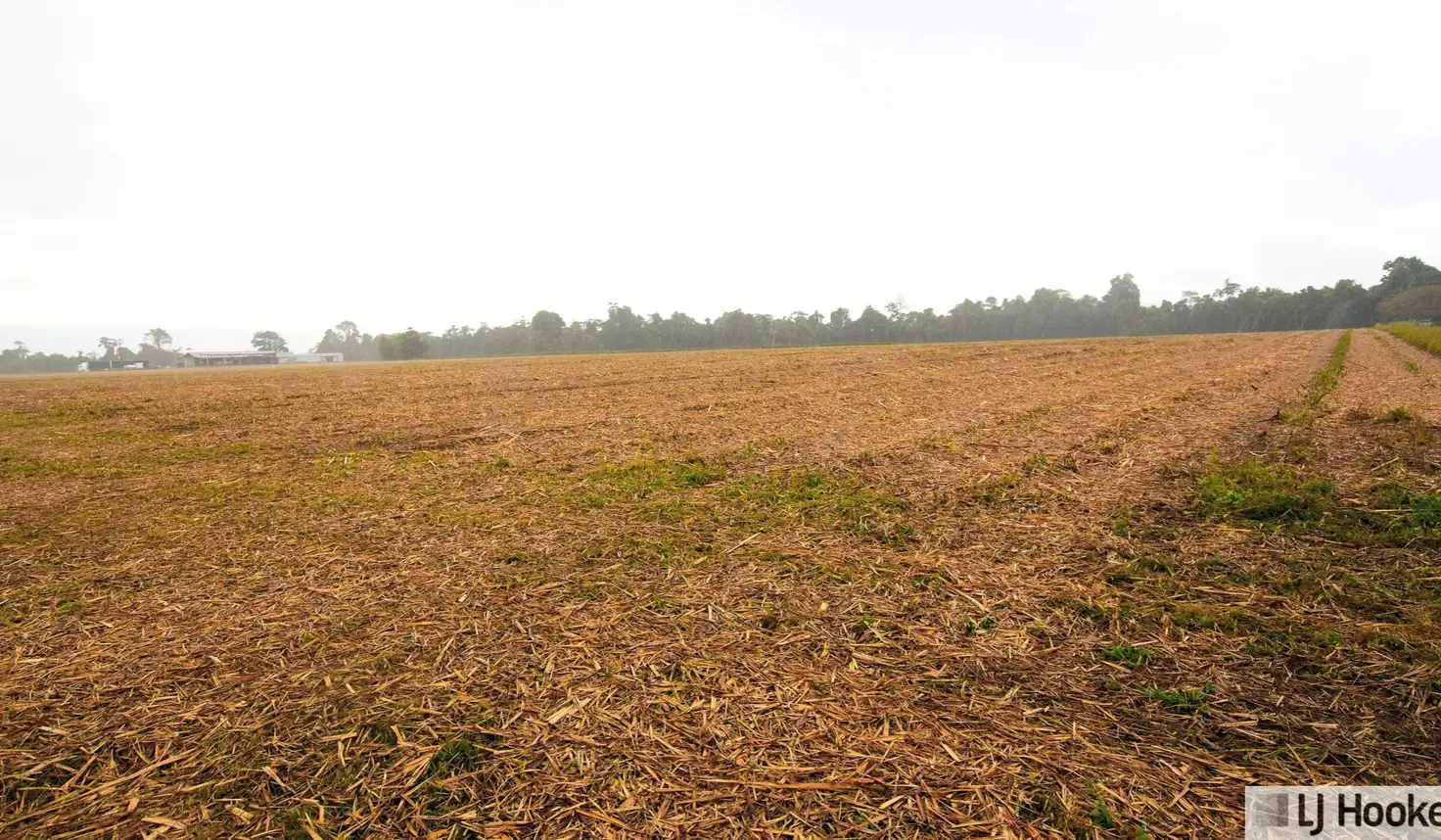 Main view of Homely land listing, 262870 Gibbs Road, Munro Plains QLD 4854