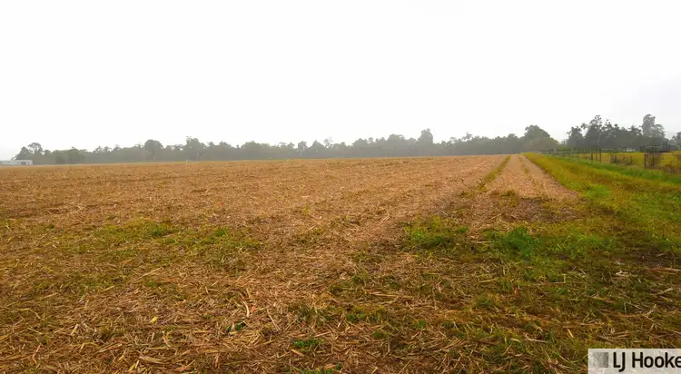 Second view of Homely land listing, 262870 Gibbs Road, Munro Plains QLD 4854