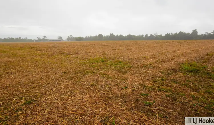 Third view of Homely land listing, 262870 Gibbs Road, Munro Plains QLD 4854