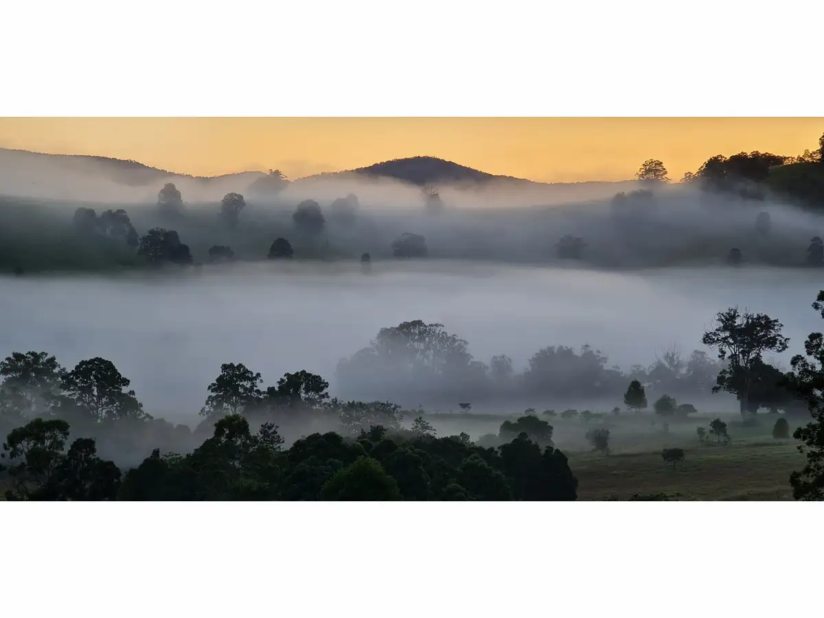 Main view of Homely rural property listing, 102 Waterloo Road, Firefly NSW 2429