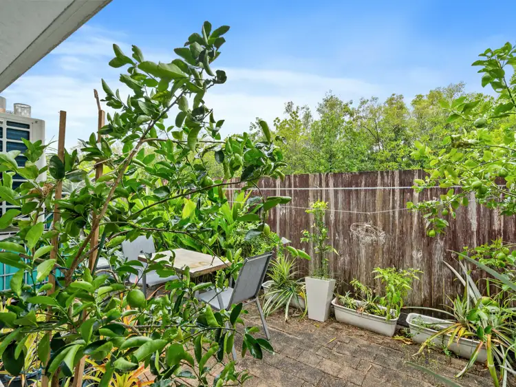 Third view of Homely unit listing, 8/66 Little Street, Manunda QLD 4870