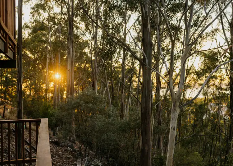 Fourth view of Homely house listing, 31 Liverpool Crescent, West Hobart TAS 7000