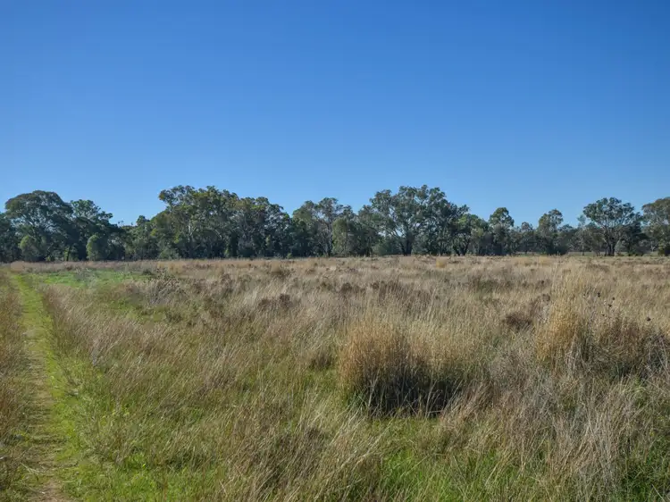 Lot 134 Robinsons Road, Young NSW 2594