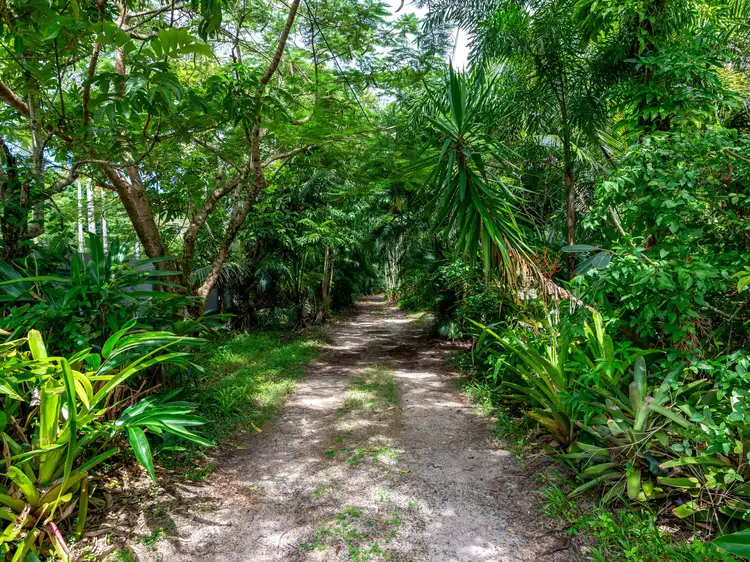 Fifth view of Homely rural property listing, 99-103 South Arm Drive, Wonga Beach QLD 4873