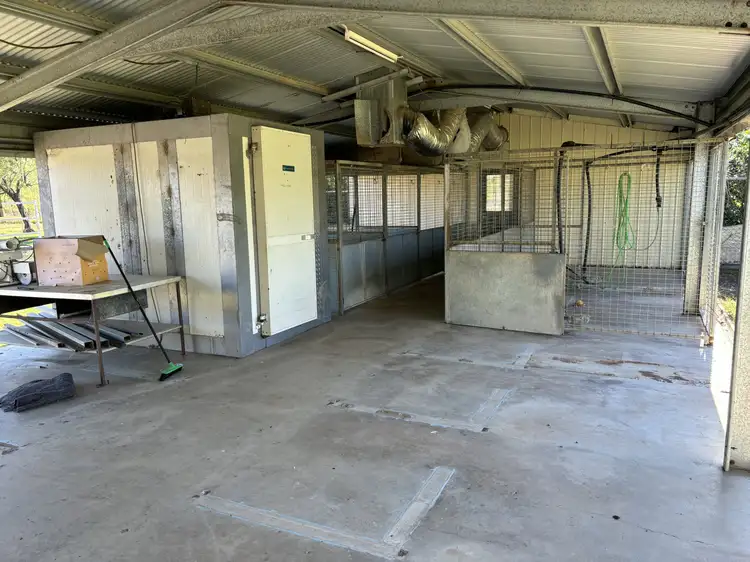 Third view of Homely rural property listing, 553 Goodar Rd, Goondiwindi QLD 4390