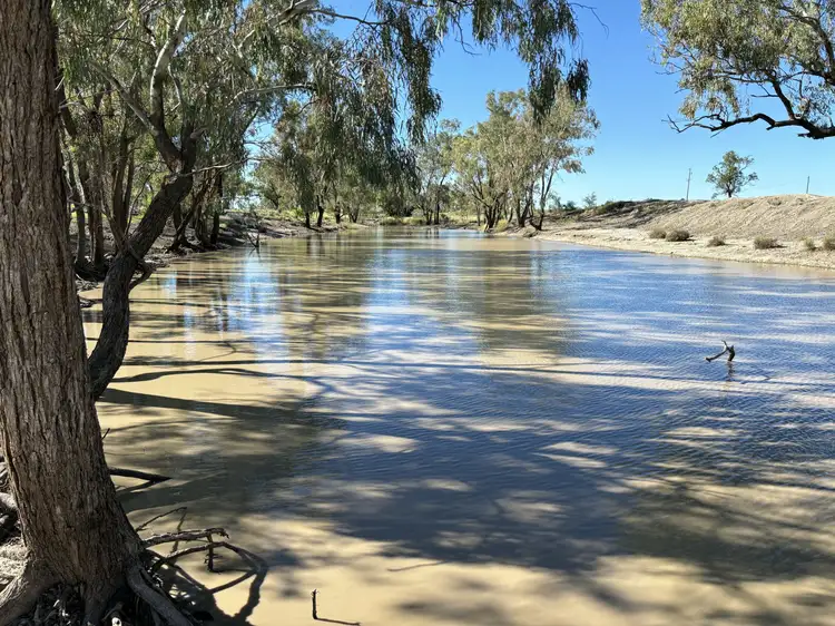 Fourth view of Homely rural property listing, 553 Goodar Rd, Goondiwindi QLD 4390