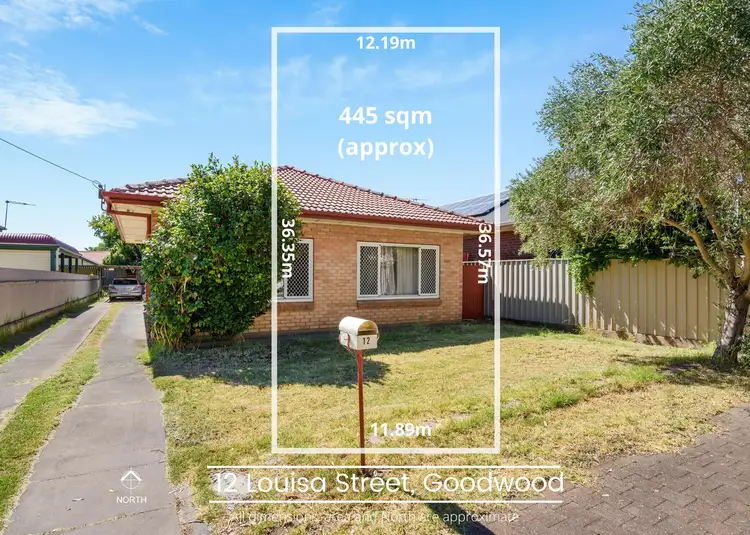 12 Louisa Street, Goodwood SA 5034