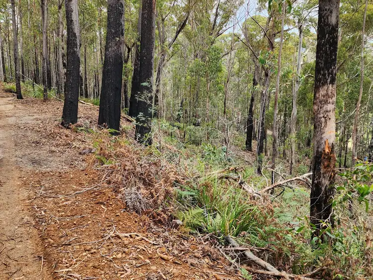 Fifth view of Homely land listing, 276 Gardiners Creek Road, St Marys TAS 7215
