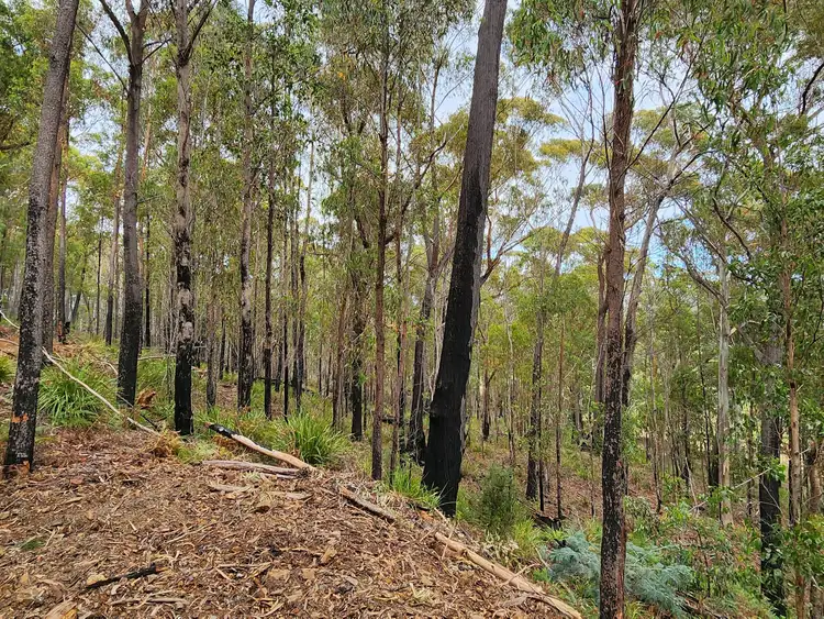 Seventh view of Homely land listing, 276 Gardiners Creek Road, St Marys TAS 7215
