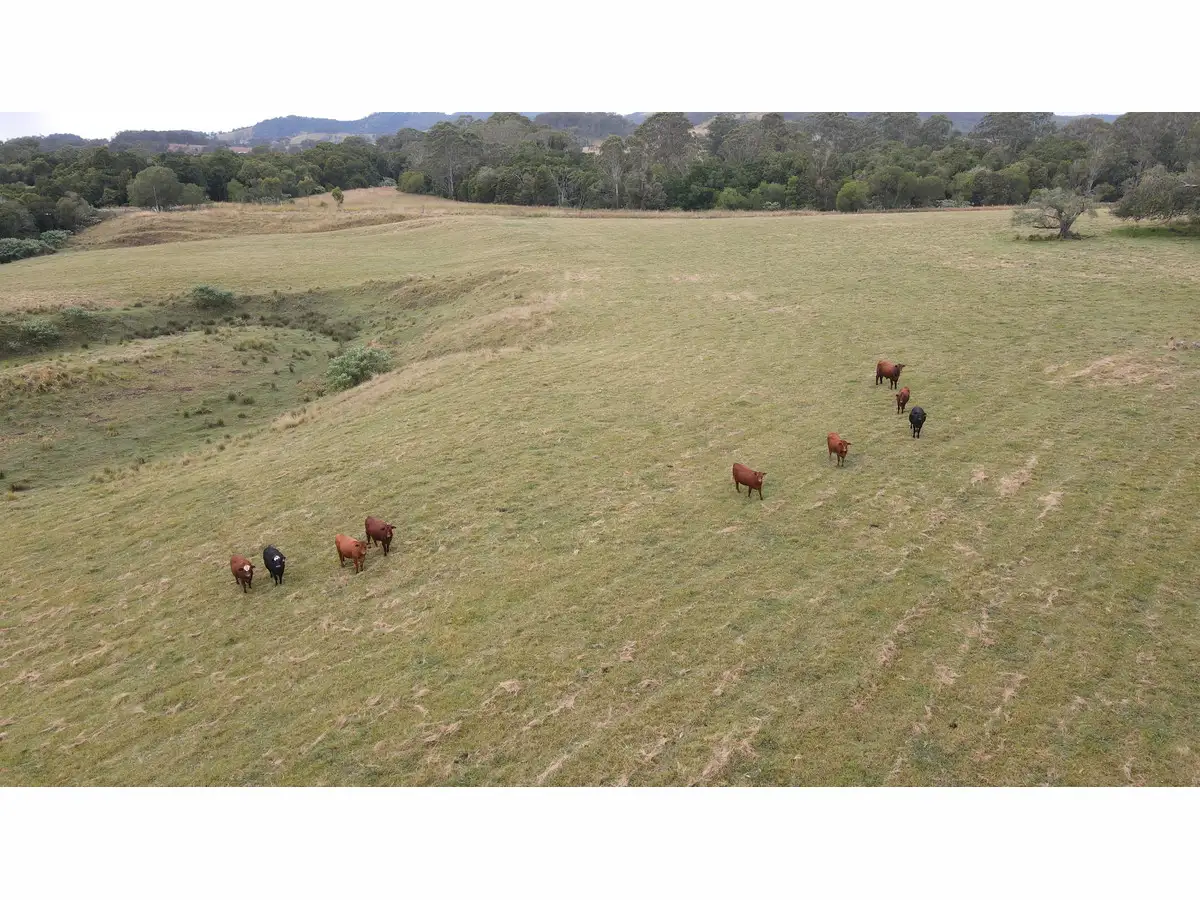 Main view of Homely rural property listing, 1262 Willina Road, Bunyah NSW 2429