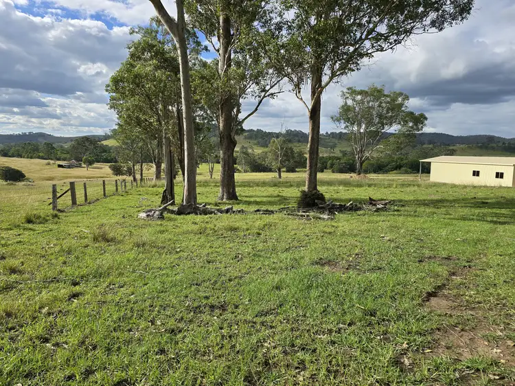 Third view of Homely rural property listing, 1262 Willina Road, Bunyah NSW 2429