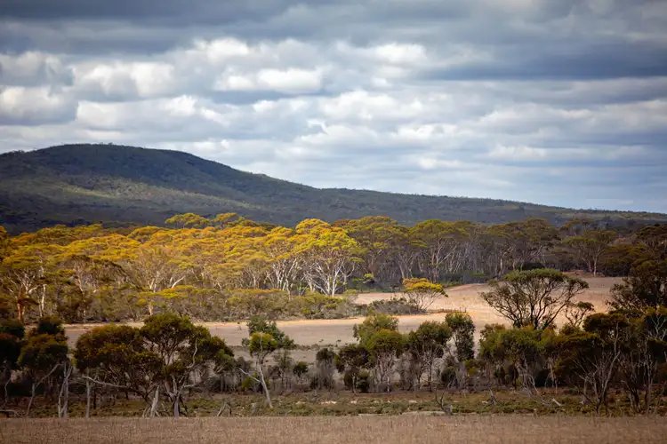 Second view of Homely land listing, Lot 344/ Hopetoun-Ravensthorpe Road, Ravensthorpe WA 6346