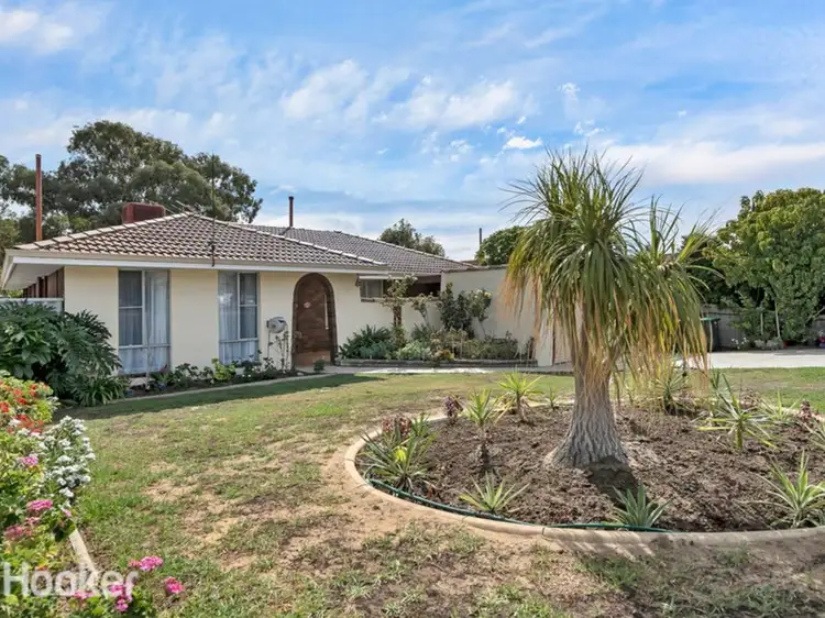 Second view of Homely house listing, 31 Salmson Street, Balcatta WA 6021