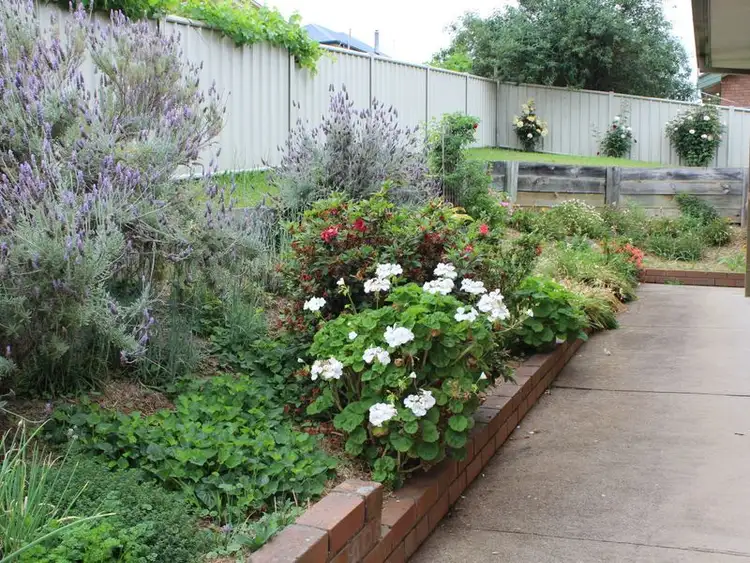 Seventh view of Homely house listing, 12 Laws Drive, Bega NSW 2550