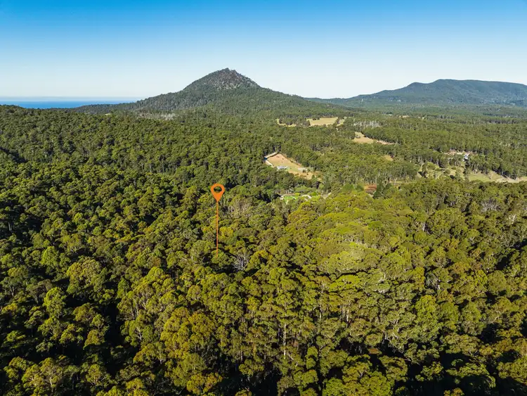 Third view of Homely land listing, PID 640432 Lower German Town Road, St Marys TAS 7215