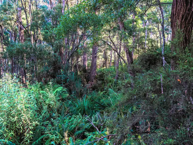Fourth view of Homely land listing, PID 640432 Lower German Town Road, St Marys TAS 7215