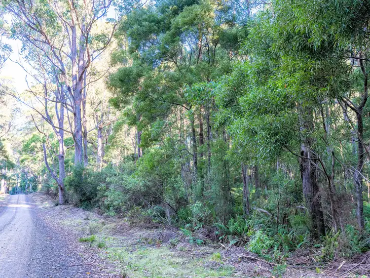 Sixth view of Homely land listing, PID 640432 Lower German Town Road, St Marys TAS 7215