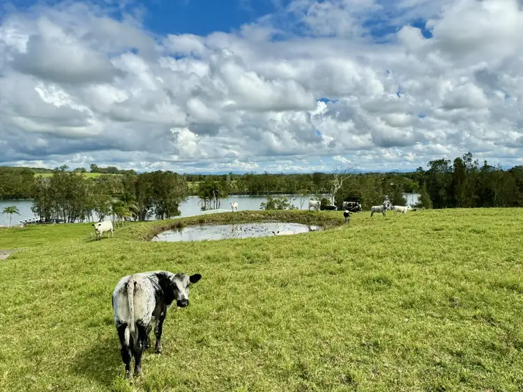 Fourth view of Homely rural property listing, 51 Riverview Road, Mitchells Island NSW 2430