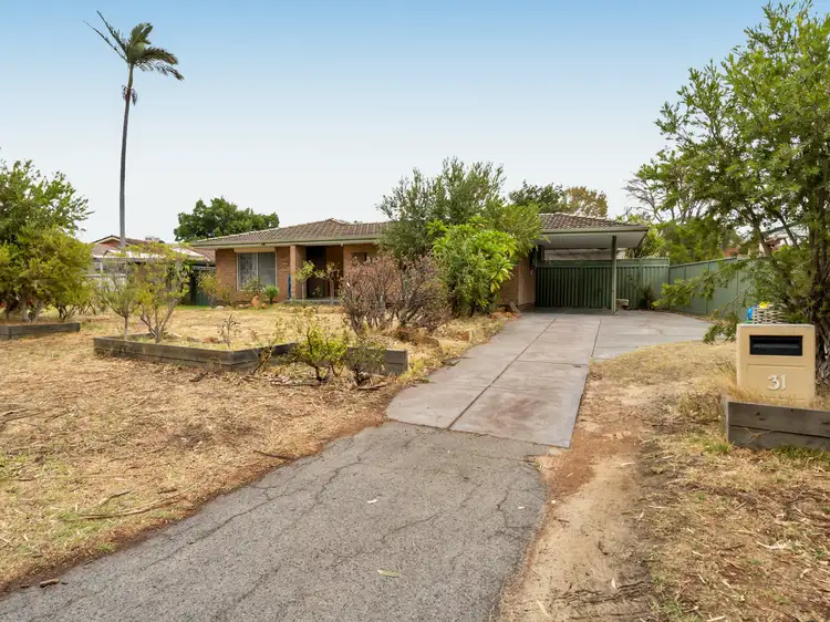 Main view of Homely house listing, 31 Aldington Street, Maddington WA 6109