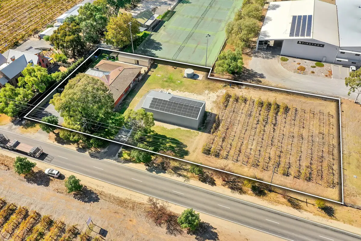 Main view of Homely house listing, 969 Light Pass Road, Vine Vale SA 5352