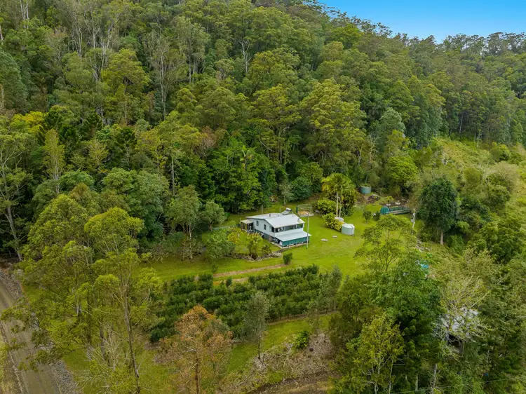Second view of Homely rural property listing, 280 Davis Road, Jiggi NSW 2480