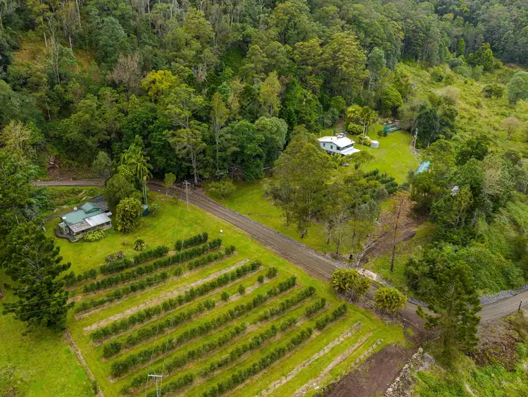 Third view of Homely rural property listing, 280 Davis Road, Jiggi NSW 2480