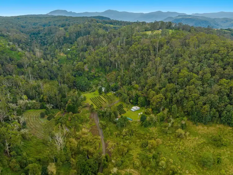 Fifth view of Homely rural property listing, 280 Davis Road, Jiggi NSW 2480