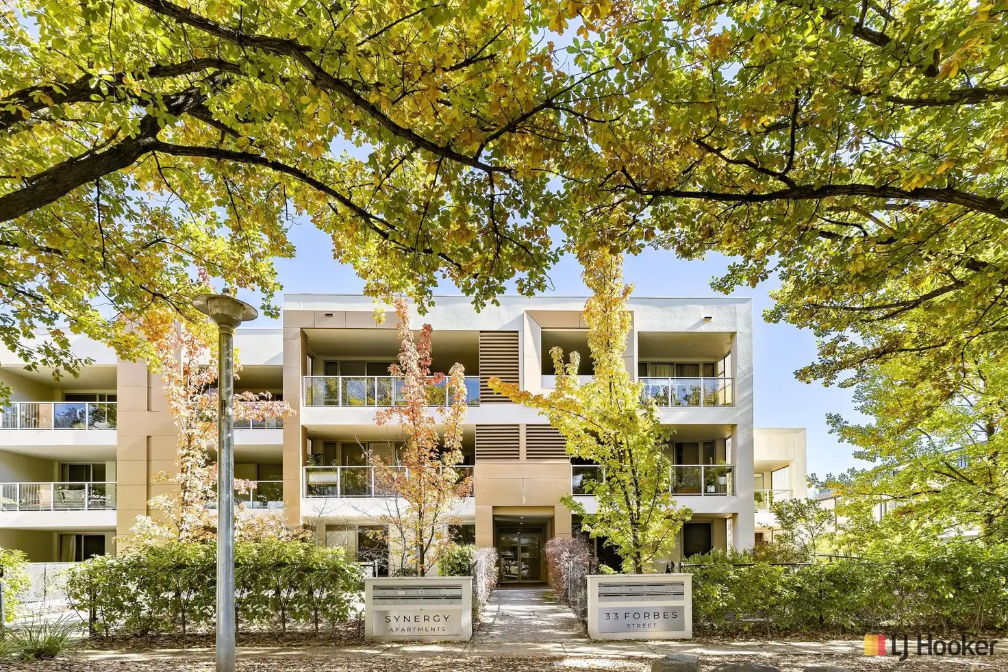 Main view of Homely apartment listing, 7/33 Forbes Street, Turner ACT 2612
