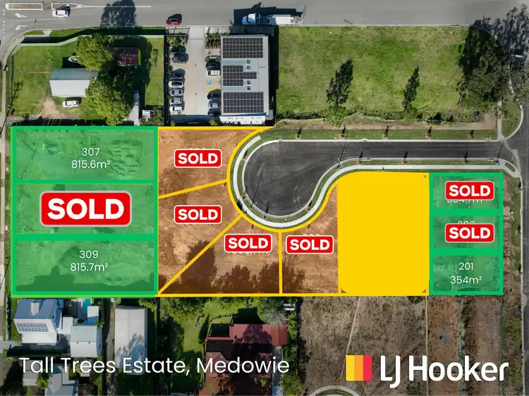 Lot 307,309, 201/799 Medowie Road, Medowie NSW 2318