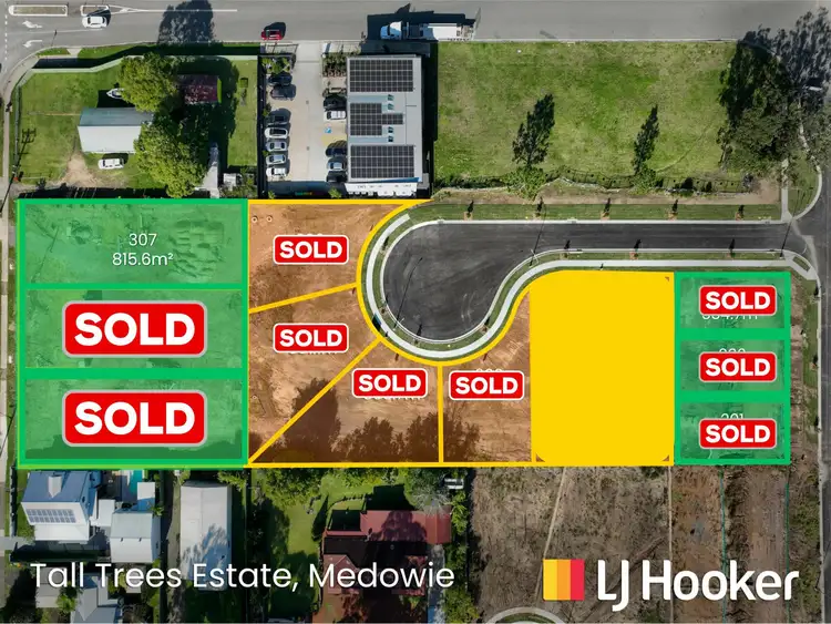Lot 307/799 Medowie Road, Medowie NSW 2318