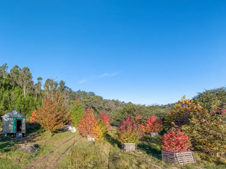 1020 Upper Brogo Road, Brogo NSW 2550