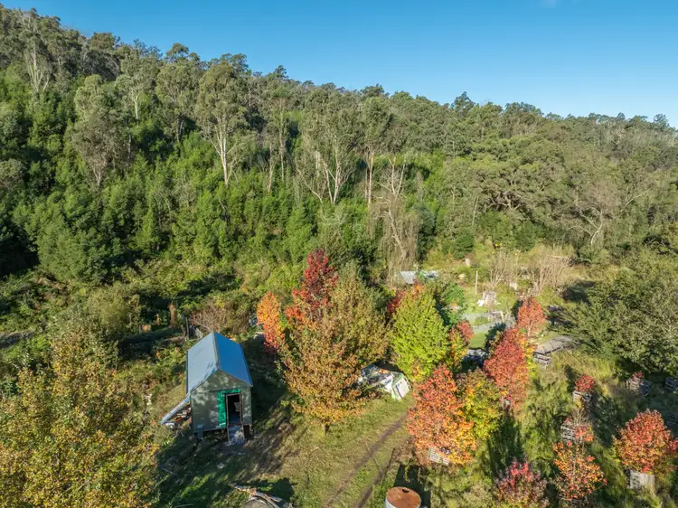 Third view of Homely land listing, 1020 Upper Brogo Road, Brogo NSW 2550