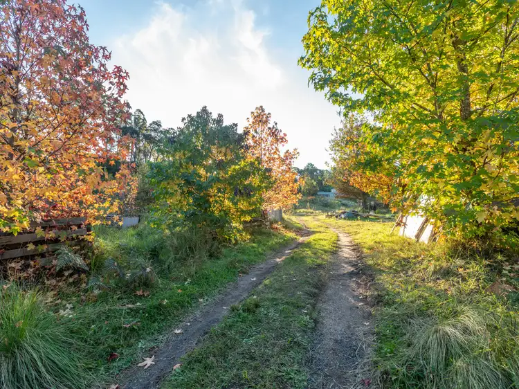 Fourth view of Homely land listing, 1020 Upper Brogo Road, Brogo NSW 2550