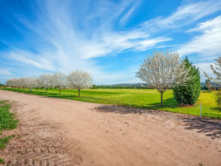 Main view of Homely land listing, 110D Calabria Road, Griffith NSW 2680