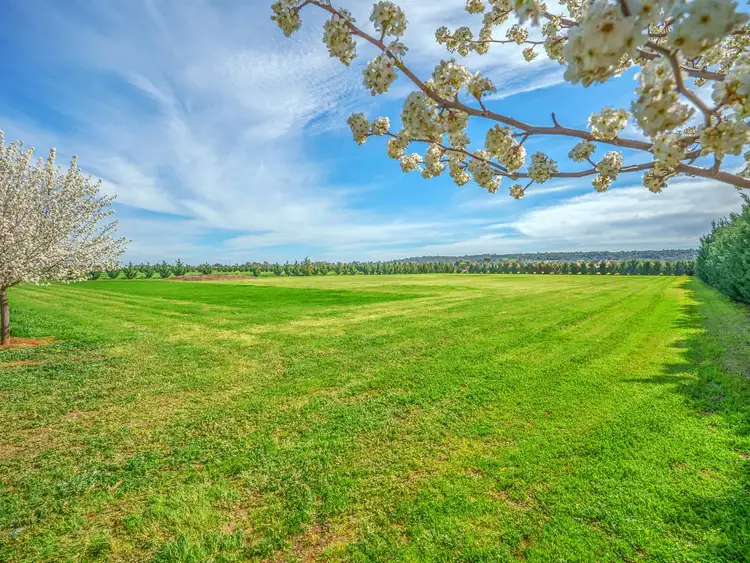 Fourth view of Homely land listing, 110D Calabria Road, Griffith NSW 2680