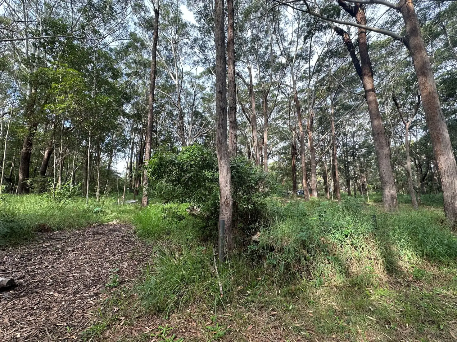 Main view of Homely land listing, 16 Cannes Avenue, Russell Island QLD 4184