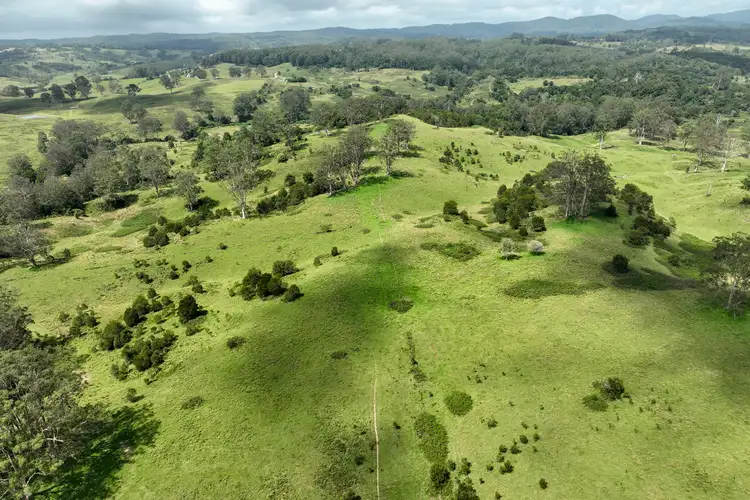 Main view of Homely rural property listing, 355 Doyles River Road, Elands NSW 2429