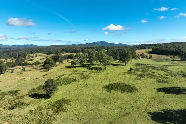 Sixth view of Homely rural property listing, 355 Doyles River Road, Elands NSW 2429