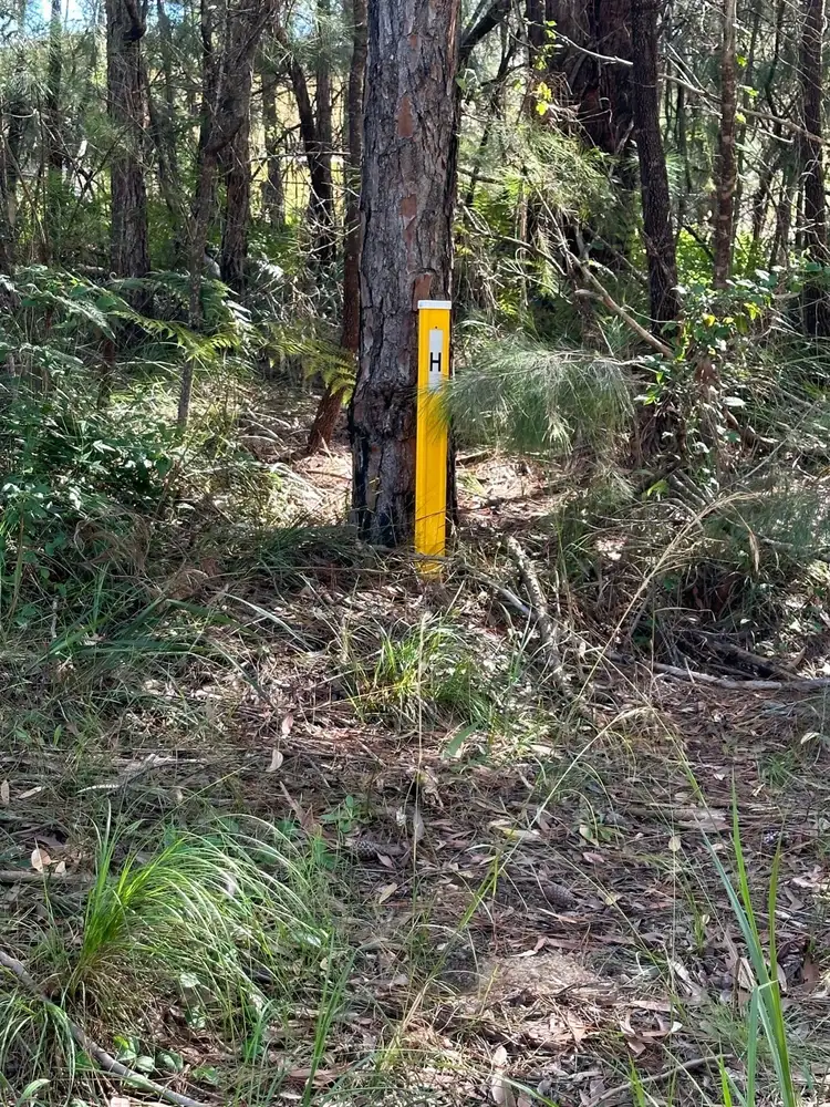 Fifth view of Homely land listing, 7 Harrison Street, Russell Island QLD 4184