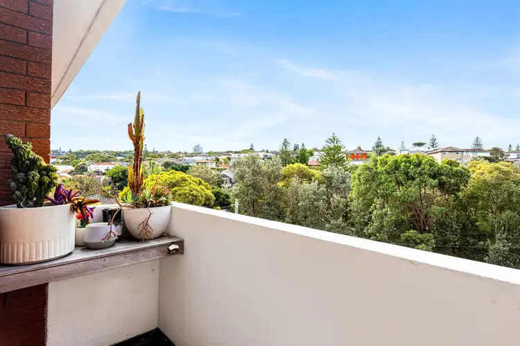 Third view of Homely apartment listing, 5/377C Clovelly Road, Clovelly NSW 2031
