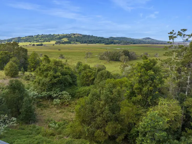 Fifth view of Homely rural property listing, 313 Marom Creek Road, Meerschaum Vale NSW 2477