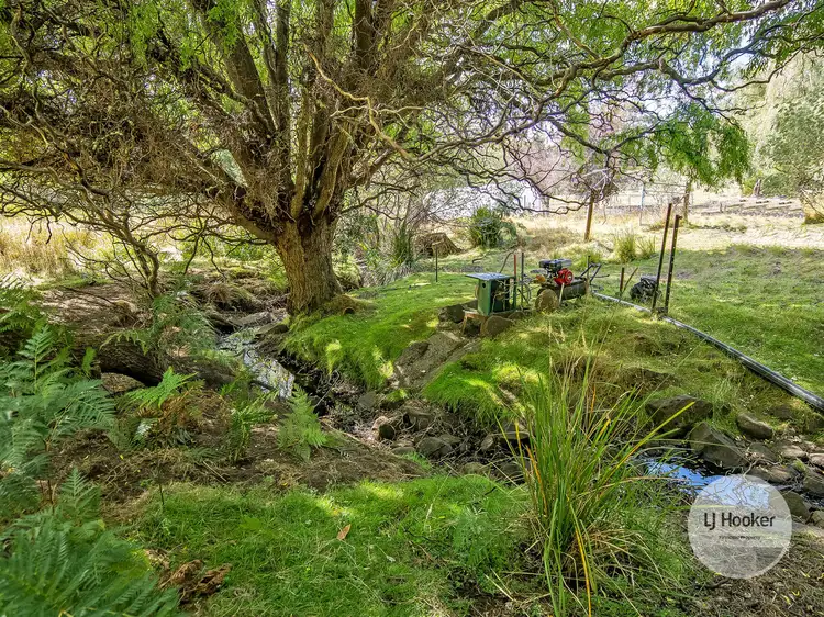 Sixth view of Homely rural property listing, 777 McGuires Marsh Road, Osterley TAS 7140