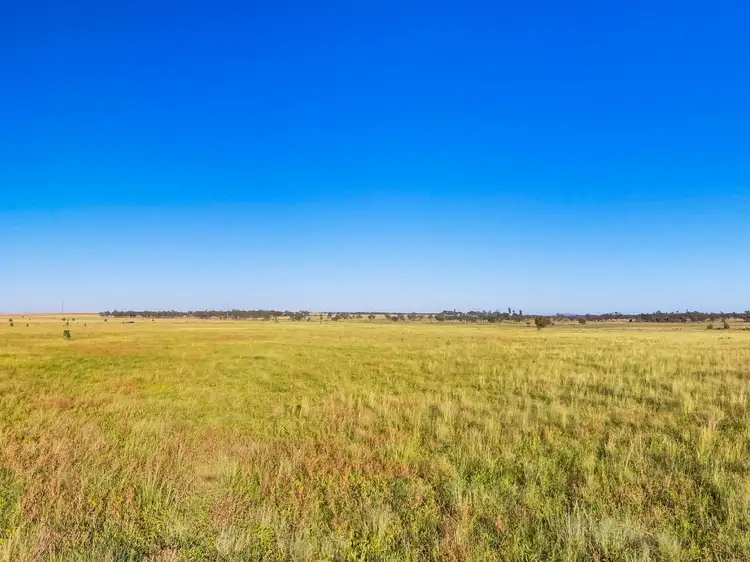Fourth view of Homely rural property listing, 300 Bindango Road, Roma QLD 4455